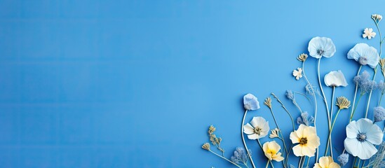 Blue paper background with spring wild flowers in a copy space image
