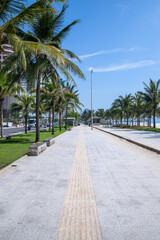 Fototapeta premium trees on the beach