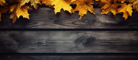 A copy space image of damp yellow autumn leaves against a backdrop of aged dark wood