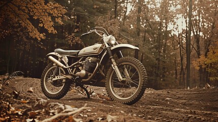 Obraz premium Restored vintage motorcycle sits in the woods.