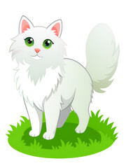 Fototapeta premium Cute white kitten