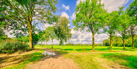 Muddy dirt roads in a rural landscape in The Netherlands.