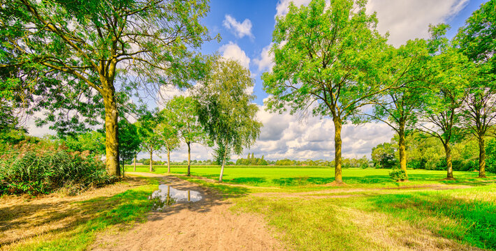 Muddy dirt roads in a rural landscape in The Netherlands.