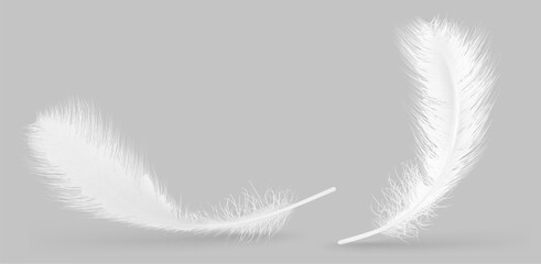 Vector feather isolated on grey background. Design template, clipart © vipman4