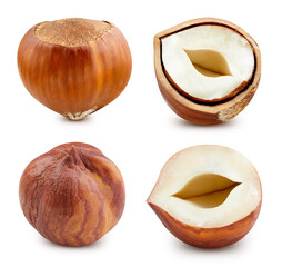 Hazelnut isolated. Hazelnut Filberton white background. Forest nuts with clipping path