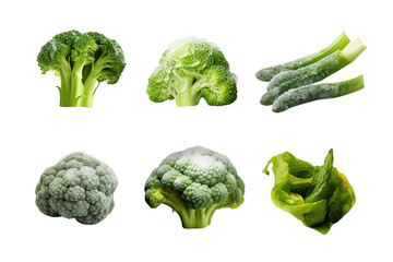 The Broccoli Symphony on White or PNG Transparent Background.