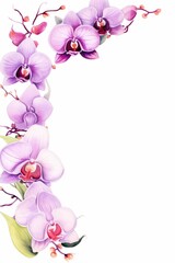 orchid themed frame or border for photos and text. featuring exotic blooms in purple and pink hues. watercolor illustration, Perfect for nursery art, simple clipart, single object, white background.