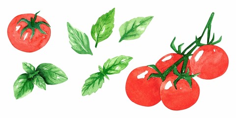 Set watercolor illustration with red tomato cherry and green basil isolated on white background. Fresh vegetables and herbs for cooking delicious dishes. Template for design.