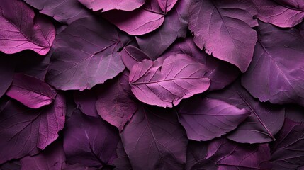 Naklejka premium A bed of interconnected purple leaves lies atop one another