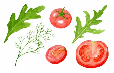 Set watercolor illustrations with whole red cherry tomatoes and slices, green herbs isolated on white background. Fresh vegetables, lettuce, dill for cooking delicious dishes. The template for design.