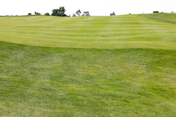 View of the green golf course