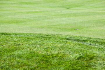 Obraz premium View of the green golf course