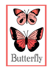 Two butterfly seventh poster card flat design natural