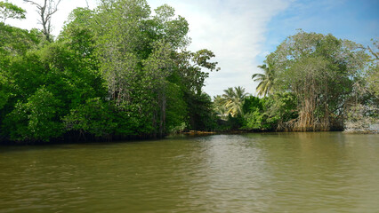 First person view from the boat floating on the river through mangroves in the wild tropical...