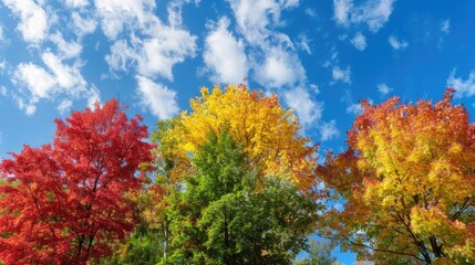 Vibrant red yellow and green autumn trees set against a blue sky landscape