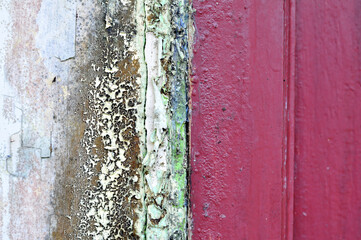 Texture the wall paint is peeling and moldy selective focus