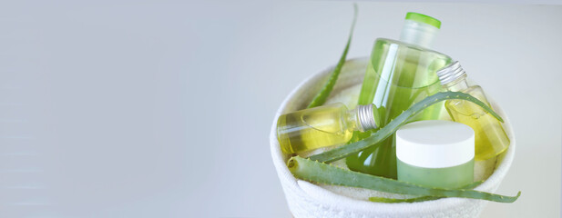 Banner. Medicinal aloe plant is used for treatment and preparation of cream. Aloe vera plant leaves...