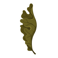 Colorful, autumn dry oak leaf. Vector graphics.