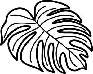 summer tropical leaf vector outline illustration
