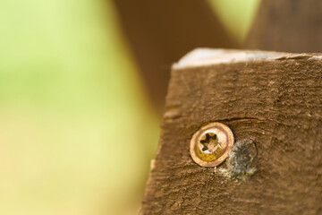 Close-up of hex bolt fastened in wood for repair work