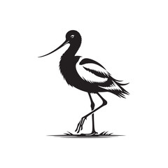 Avocet Vector Silhouette: Black Vector of an Avocet, Exuding Elegance in Coastal Ambiance- Avocet Illustration.