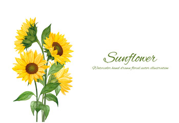 水彩で描いたひまわりの背景素材