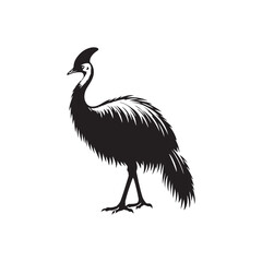 Cassowary Vector Silhouette: Black Vector Silhouette of a Cassowary, Symbolizing Strength and Majesty in Nature- Cassowary Illustration.