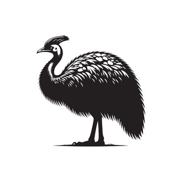 recommend clip art: Cassowary Vector Silhouette: Black Vector Silhouette of a Cassowary, Symbolizing Strength and Majesty in Nature- Cassowary Illustration.