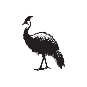 recommend clip art: Cassowary Vector Silhouette: Black Vector Silhouette of a Cassowary, Symbolizing Strength and Majesty in Nature- Cassowary Illustration.