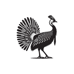 Fototapeta premium Cassowary Vector Silhouette: Black Vector Silhouette of a Cassowary, Symbolizing Strength and Majesty in Nature- Cassowary Illustration.