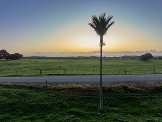 Quient country road, farmland and Nikau Palm Trees at sunset in Karamea, West Coast, New Zealand.