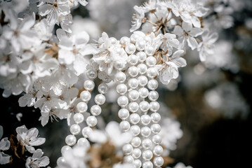 A pearl necklace hangs on the branches of a cherry blossom