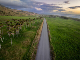 Quiet country road, farmland and Nikau Palm Trees at sunset in Karamea, West Coast, New Zealand.