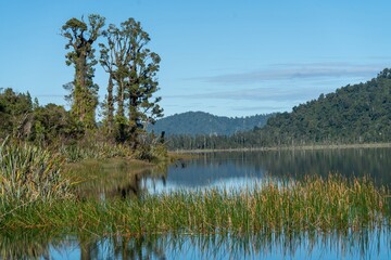 The calm mirror Lake Lanthe and forest, Harihari, West Coast, New Zealand.