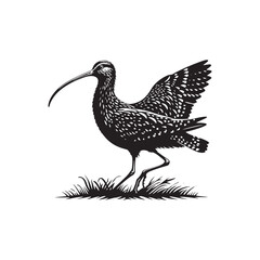 Black Vector Silhouette of a Curlew, Dancing Along the Shoreline in Elegance- Curlew Vector - Curlew Illustration.