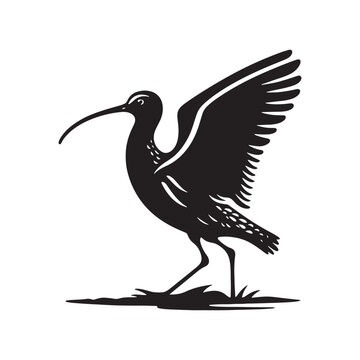 recommend clip art: Black Vector Silhouette of a Curlew, Dancing Along the Shoreline in Elegance- Curlew Vector - Curlew Illustration.