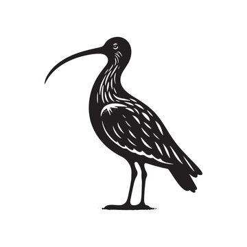 recommend clip art: Black Vector Silhouette of a Curlew, Dancing Along the Shoreline in Elegance- Curlew Vector - Curlew Illustration.