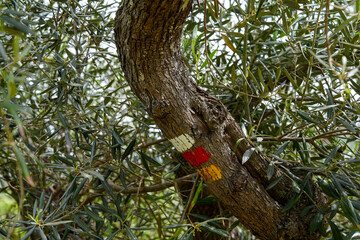 Symbole für Wanderwege zur Wanderung in Portugal