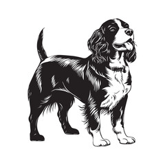 cute adorable border collie dog doggy breed line art in black and white vector for prints in high quality