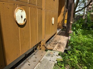 yellow bee hive on a beekeepers garden, small family run business, ecological agriculture concept,nature background