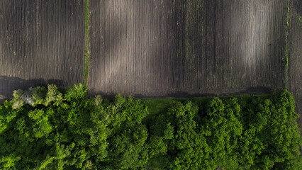 A field with a green line of trees on one side and a brown line of trees on the other. The contrast...