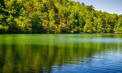 Fototapeta premium Beautiful lake and spring landscape in Seven Lakes, Yedigoller National Park Bolu, Turkey