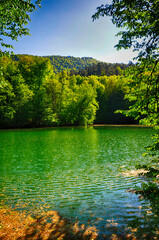 Beautiful lake and spring landscape in Seven Lakes, Yedigoller National Park Bolu, Turkey