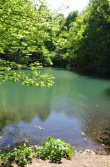 Beautiful lake and spring landscape in Seven Lakes, Yedigoller National Park Bolu, Turkey