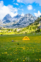 A yellow tent surrounded by yellow flowers in a beautiful valley with a view of snow-covered peaks