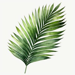 A watercolor painting of a single palm leaf