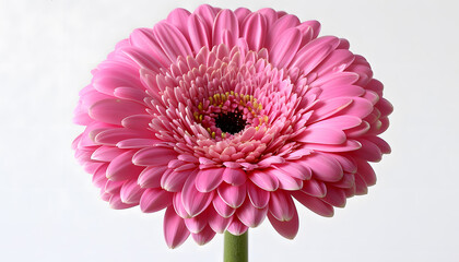 Closeup shot of a pink artificial flower with a green stem - Powered by Adobe