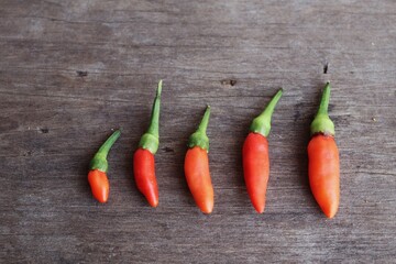 Red chilli on wood background