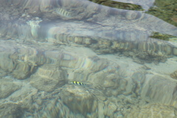 Koh Tao, Surat Thani Province, Thailand