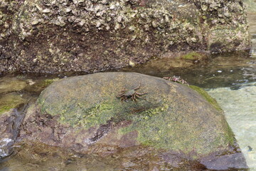 Koh Tao, Surat Thani Province, Thailand